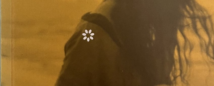 Imagen de Probá con la vidita