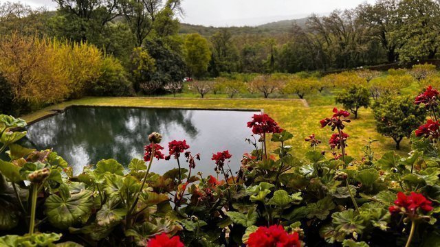 Jardín de Yuste